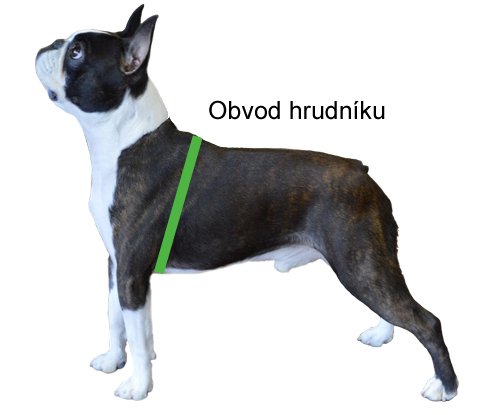 Měření psa – obvod hrudníku